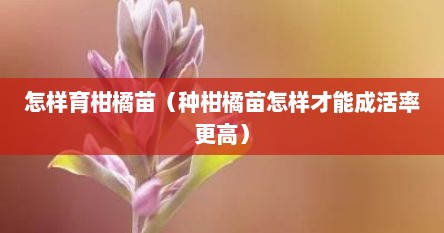 怎样育柑橘苗（种柑橘苗怎样才能成活率更高）