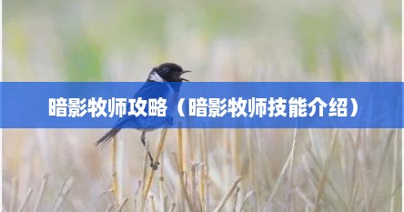 暗影牧师怎么玩（魔兽暗影牧师适合哪个种族）