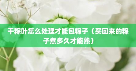 干粽叶怎么处理才能包粽子（买回来的粽子煮多久才能熟）