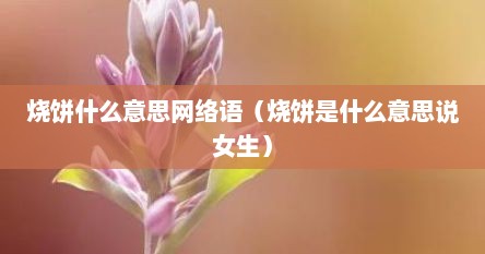 烧饼什么意思网络语（烧饼是什么意思说女生）