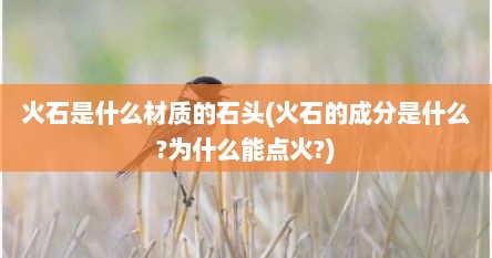 火石是什么材质的石头(火石的成分是什么?为什么能点火?)