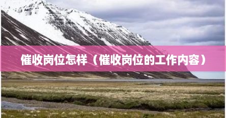 催收岗位怎样（催收岗位的工作内容）