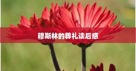 穆斯林的葬礼读后感