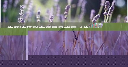 生源地填到市还是县或区（生源地写到市还是区）