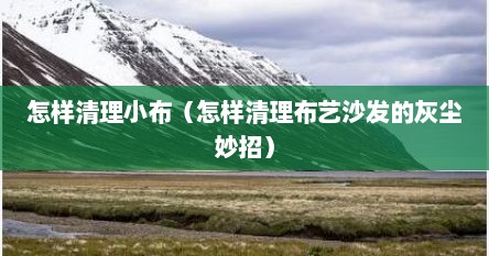 怎样清理小布（怎样清理布艺沙发的灰尘妙招）