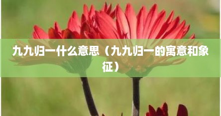 九九归一什么意思（九九归一的寓意和象征）