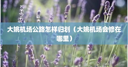 大姚机场公路怎样归划（大姚机场会修在哪里）