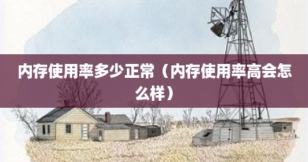 内存使用率多少正常（内存使用率高会怎么样）