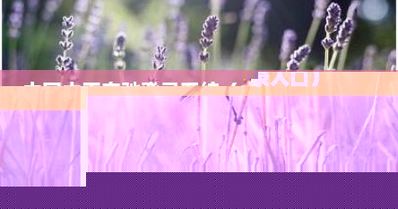 中国太平奔驰登录系统（太平奔驰系统登录入口）