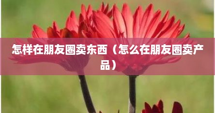 怎样在朋友圈卖东西（怎么在朋友圈卖产品）