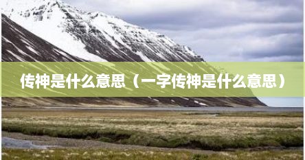 传神是什么意思（一字传神是什么意思）