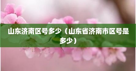 山东济南区号（济南的区号是多少电话区号）