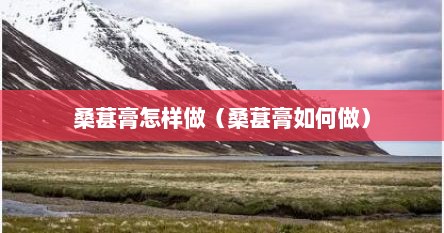 桑葚膏怎样做（桑葚膏如何做）