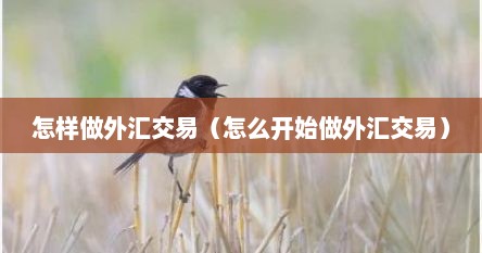 怎样做外汇交易（怎么开始做外汇交易）