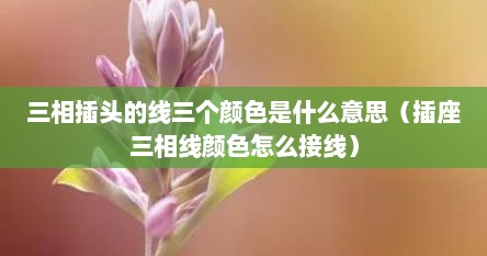 三相插头的线三个颜色是什么意思（插座三相线颜色怎么接线）