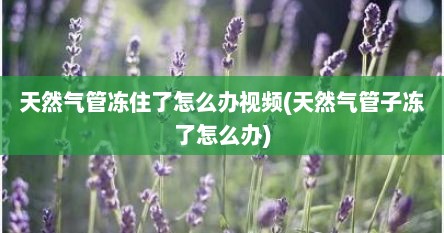 天然气管冻住了怎么办视频(天然气管子冻了怎么办)