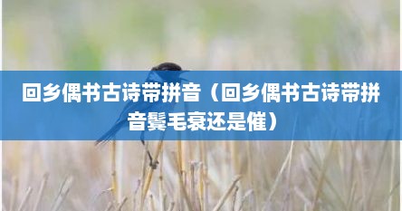 回乡偶书古诗带拼音（回乡偶书古诗带拼音鬓毛衰还是催）