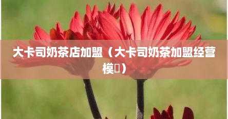 大卡司奶茶店加盟（大卡司奶茶加盟经营模弿）
