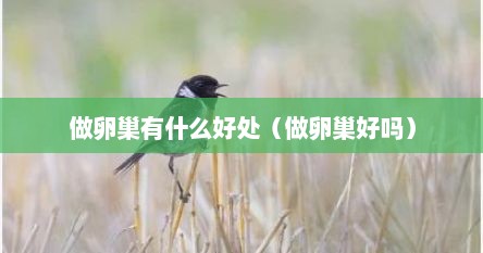 做卵巢有什么好处（做卵巢好吗）