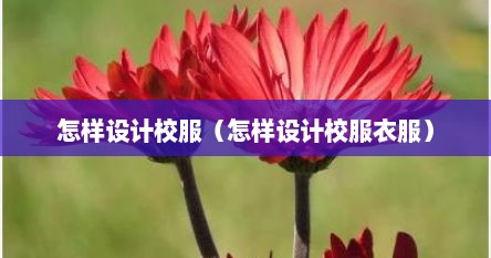 怎样设计校服（怎样设计校服衣服）