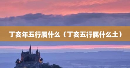 丁亥年五行属什么（丁亥五行属什么土）