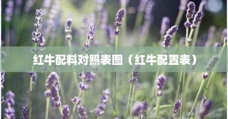 红牛配料对照表图（红牛配置表）