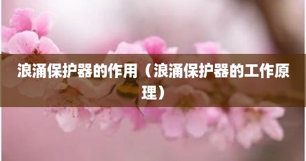 浪涌保护器的作用（浪涌保护器的工作原理）