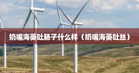 奶嘴海葵吐肠子什么样（奶嘴海葵吐丝）