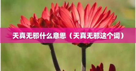 天真无邪什么意思（天真无邪这个词）
