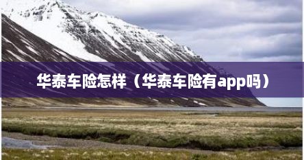 华泰车险怎样（华泰车险有app吗）