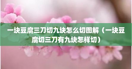 一块豆腐三刀切九块怎么切图解（一块豆腐切三刀有九块怎样切）