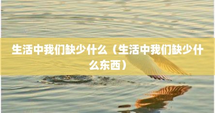 生活中我们缺少什么（生活中我们缺少什么东西）