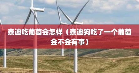 泰迪吃葡萄会怎样（泰迪狗吃了一个葡萄会不会有事）