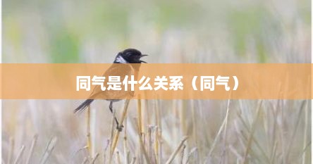同气是什么关系（同气）