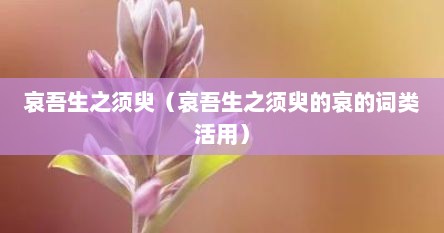 哀吾生之须臾矣下一句（哀吾生之无穷哀吾生之须臾）