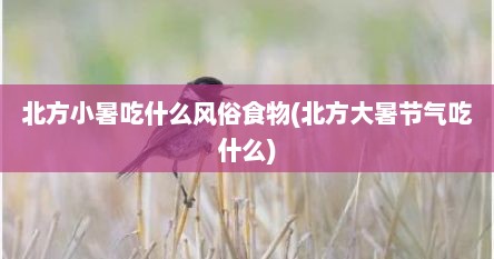 北方小暑吃什么风俗食物(北方大暑节气吃什么)
