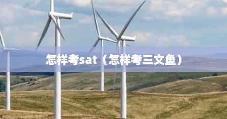 怎样考sat（怎样考三文鱼）
