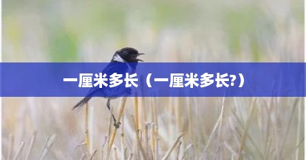 一厘米多长（一厘米多长?）