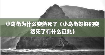 小乌龟为什么突然死了（小乌龟好好的突然死了有什么征兆）