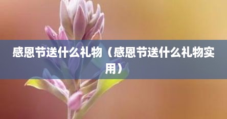 感恩节送什么礼物（感恩节送什么礼物实用）