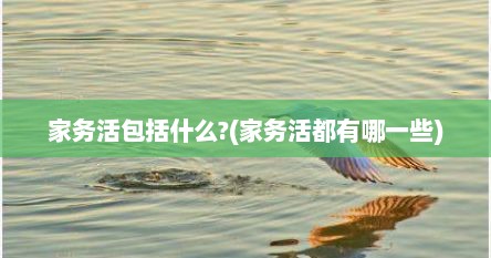 家务活包括什么?(家务活都有哪一些)