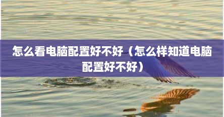 怎么看电脑配置好不好（怎么样知道电脑配置好不好）
