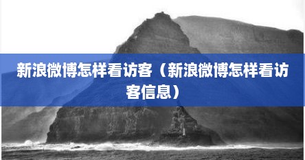新浪微博怎样看访客（新浪微博怎样看访客信息）