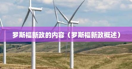 罗斯福新政的内容（罗斯福新政概述）