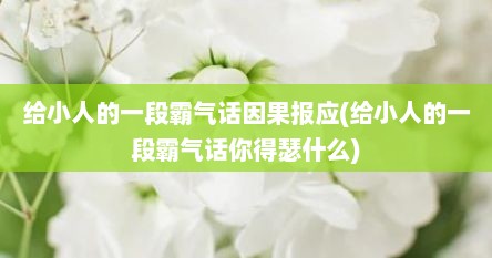 给小人的一段霸气话因果报应(给小人的一段霸气话你得瑟什么)