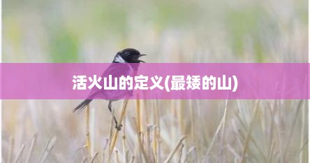 活火山的定义(最矮的山)