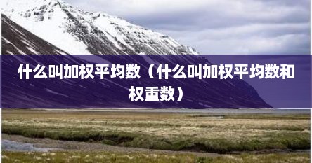 什么叫加权平均数（什么叫加权平均数和权重数）