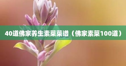 40道佛家素食菜谱斋饭（佛教100道素菜菜谱大全）
