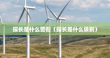 探长是什么警衔（探长是什么级别）