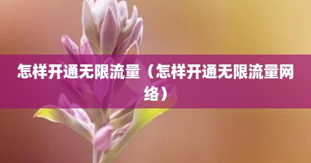 怎样开通无限流量（怎样开通无限流量网络）